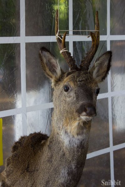 Фото к «ДоброСаммит» с ИЦАЭ: дополненная реальность и альтернативная энергетика