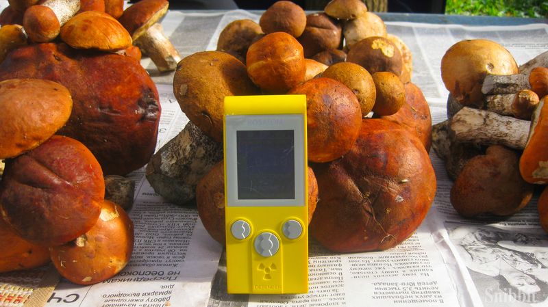 Фото к Атомный велопробег во Владимире: уровень радиации в норме