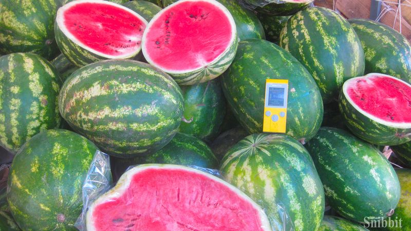 Фото к Атомный велопробег во Владимире: уровень радиации в норме