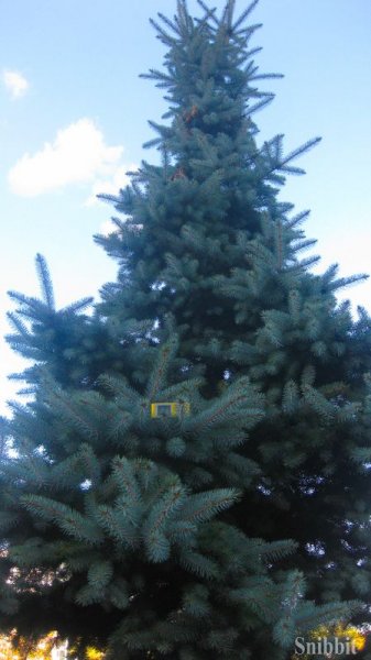 Фото к Атомный велопробег во Владимире: уровень радиации в норме