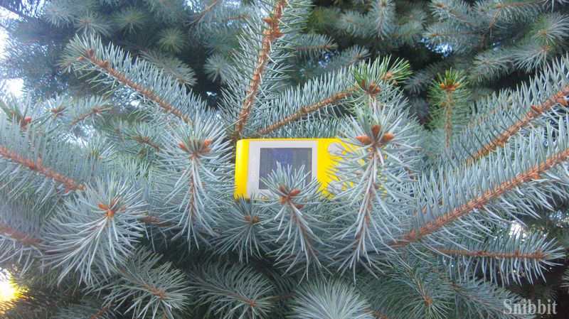 Фото к Атомный велопробег во Владимире: уровень радиации в норме