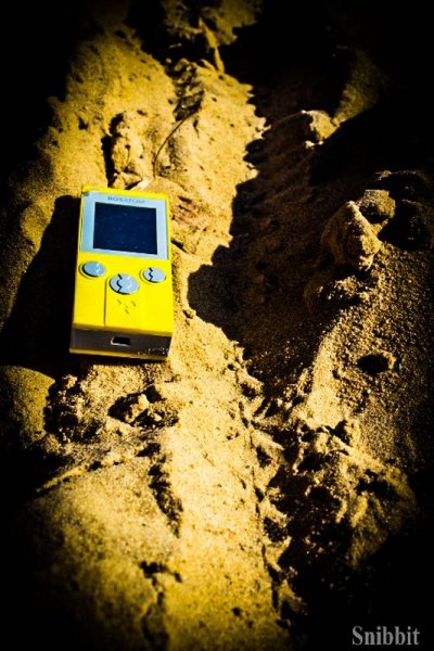 Фото к Атомный велопробег во Владимире: уровень радиации в норме