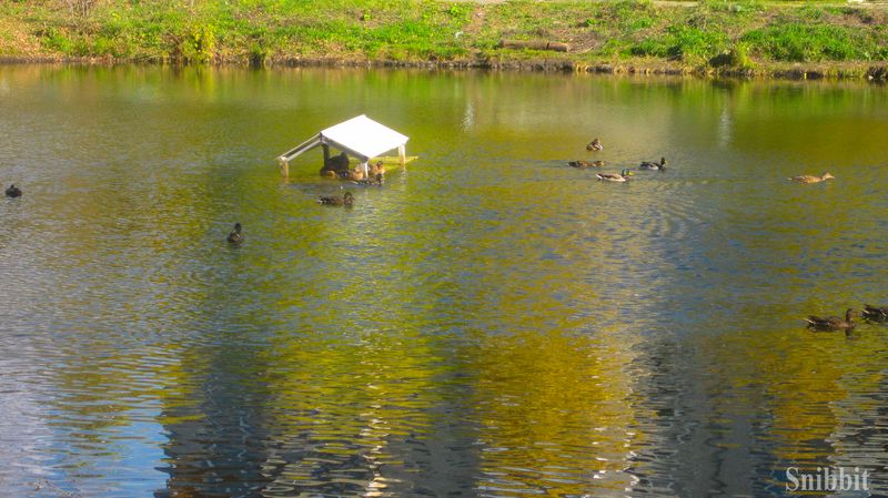 Фото к Атомный велопробег во Владимире: уровень радиации в норме