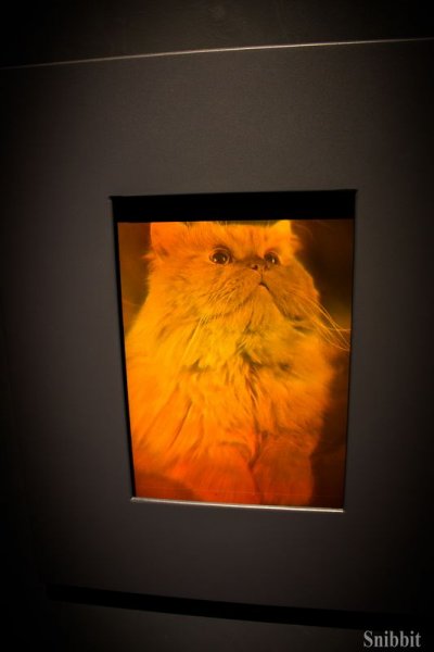 Фото к Сверхпроводники для проекта ИТЭР и линзы для фокусировки рентгеновских лучей: учителя из Владимирской области посетили АО «ВНИИНМ имени А. А. Бочвара»