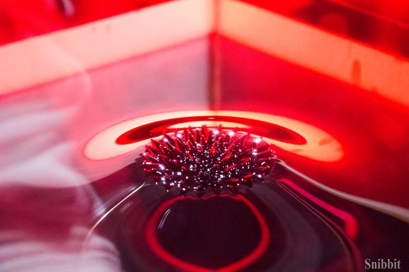 Фото к Сверхпроводники для проекта ИТЭР и линзы для фокусировки рентгеновских лучей: учителя из Владимирской области посетили АО «ВНИИНМ имени А. А. Бочвара»