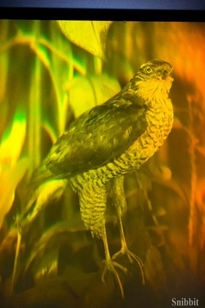 Фото к Сверхпроводники для проекта ИТЭР и линзы для фокусировки рентгеновских лучей: учителя из Владимирской области посетили АО «ВНИИНМ имени А. А. Бочвара»