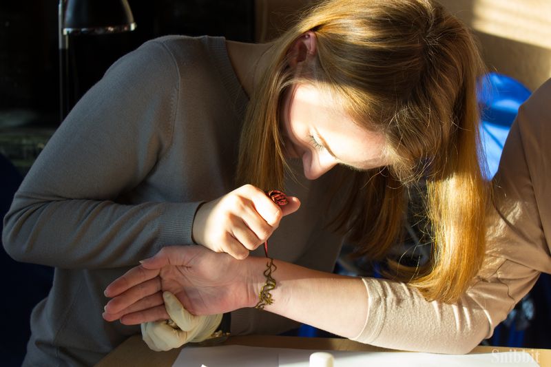 Фото к «Арт-Бу!фест» по-владимирски: наука + искусство.