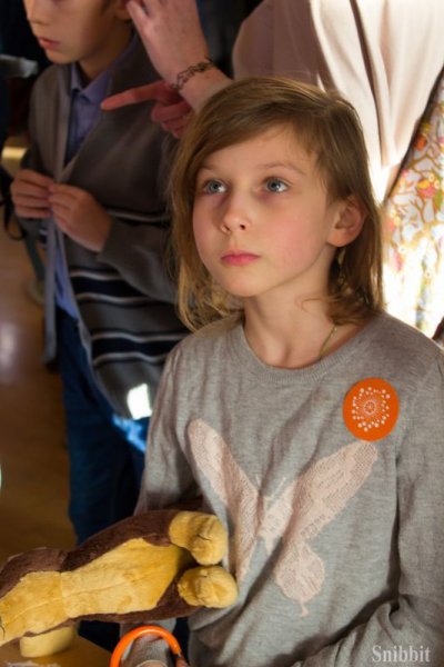 Фото к «Арт-Бу!фест» по-владимирски: наука + искусство.