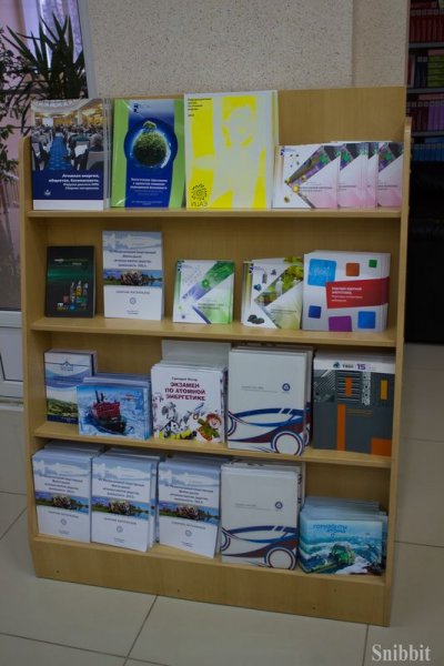 Фото к Во Владимирской областной научной библиотеке открылась выставка «Цепная реакция успеха»