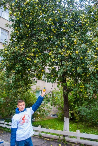 Фото к Атомный велопробег-2016: радиационный фон во Владимире в норме!